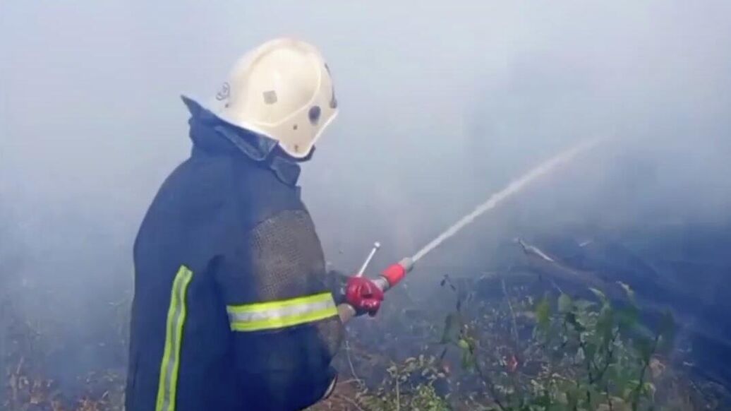 Стала известна предварительная причина возгораний в полях в Кузбассе