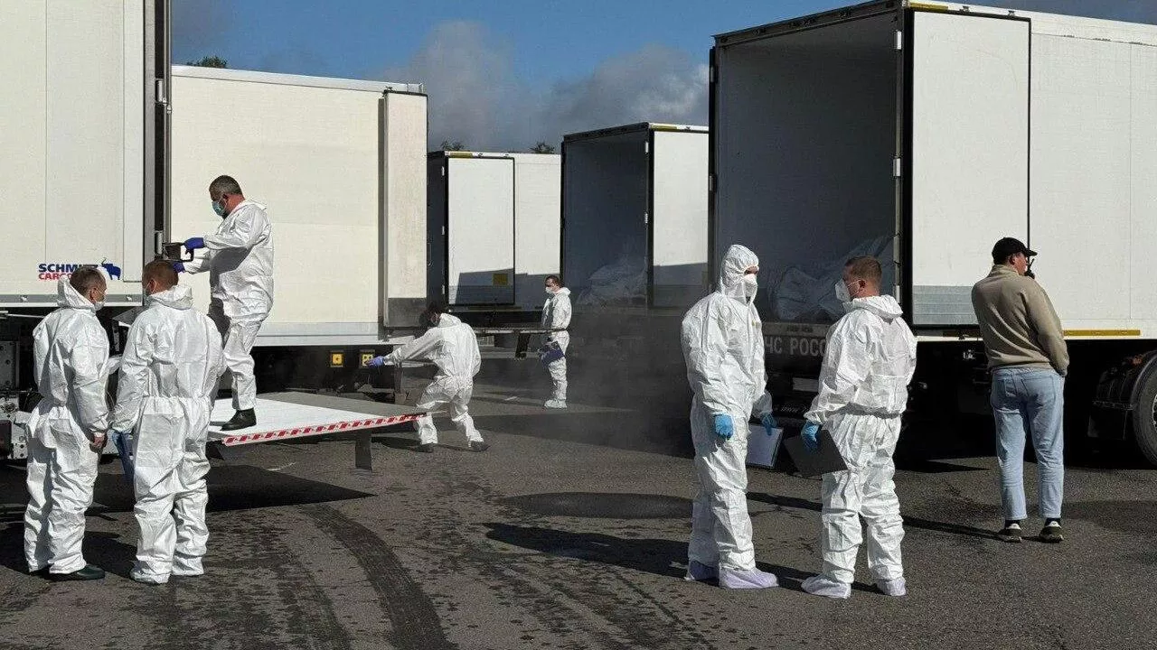 Обмен телами погибших между Россией и Украиной - РИА Новости, 1920, 23.10.2025