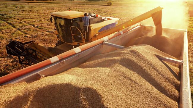 Сбор урожая