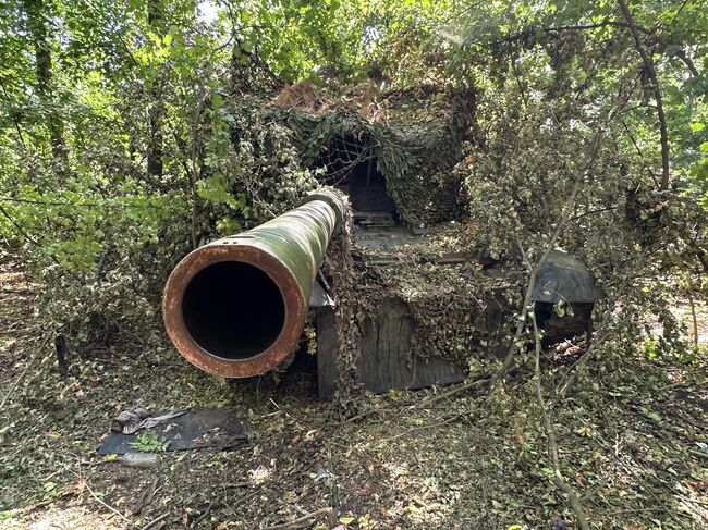Танк Т-72Б3М в лесопосадке Танк Т-72Б3М в лесопосадке
