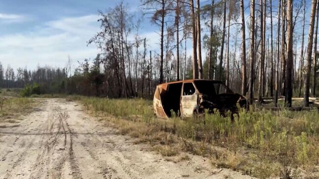 Освобожденное Серебрянское лесничество: как удалось прорвать оборону ВСУ