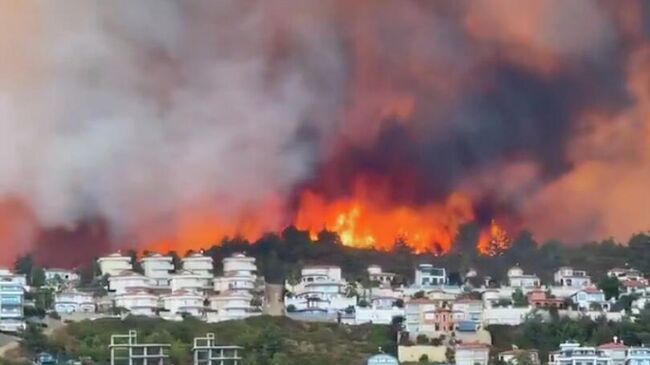  Лесной пожар в Аланье, Турция. Кадр видео из соцсетей