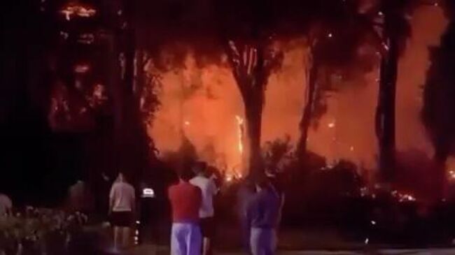 Лесной пожар в турецком Белеке