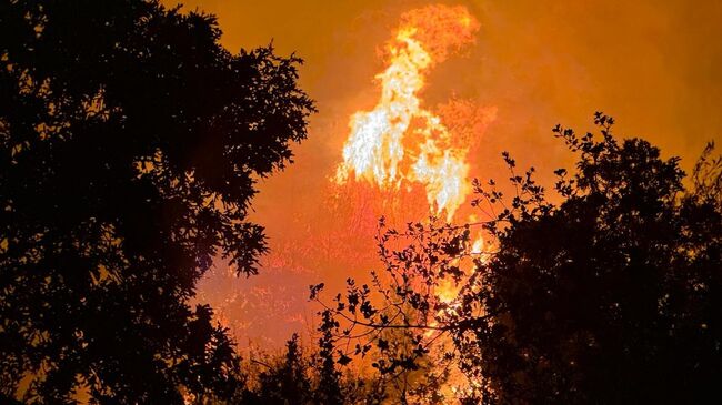 Лесной пожар в Аланье, Турция