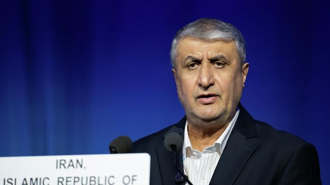 Вице-президент Ирана Мохаммад Эслами