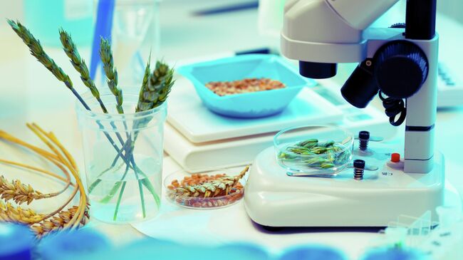 Лаборатория