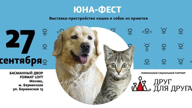 Выставка-пристройство животных из приюта 