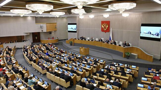 Депутаты на пленарном заседании Государственной Думы РФ