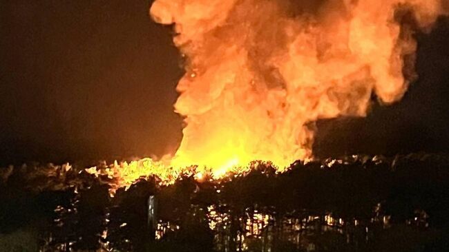 Пожар в Новосибирском зоопарке