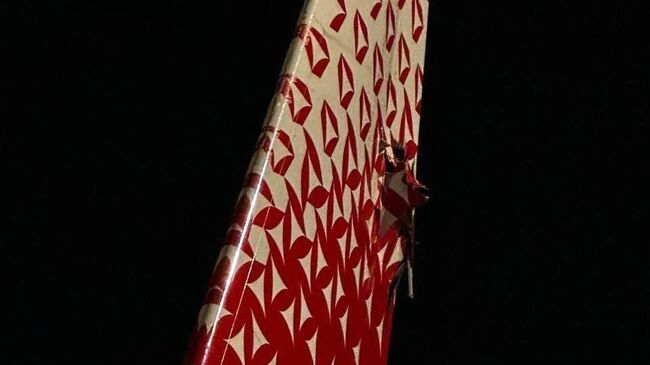 Самолет авиакомпании Россия получил повреждения при подготовке к вылету