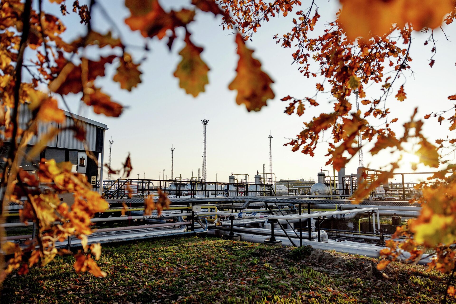 Предприятие венгерской нефтегазовой компании MOL - РИА Новости, 1920, 07.10.2025