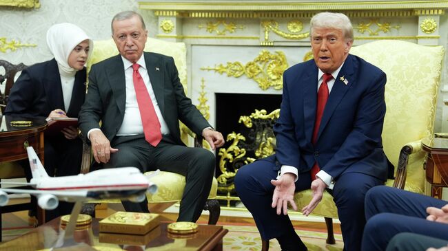 Дональд Трамп и  Реджеп Тайип Эрдоган 