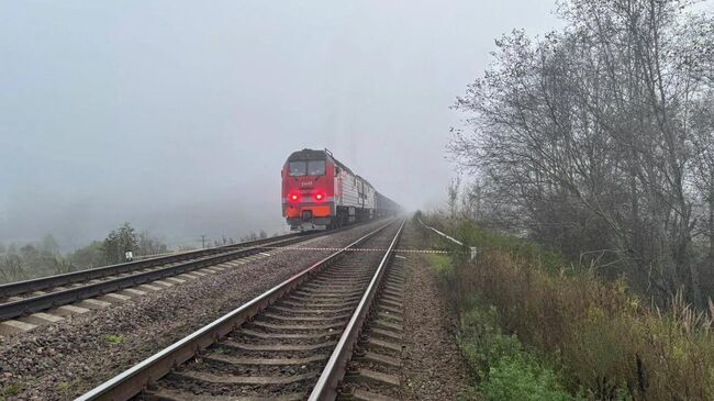 Место взрыва недалеко от станции Плюсса в Псковской области