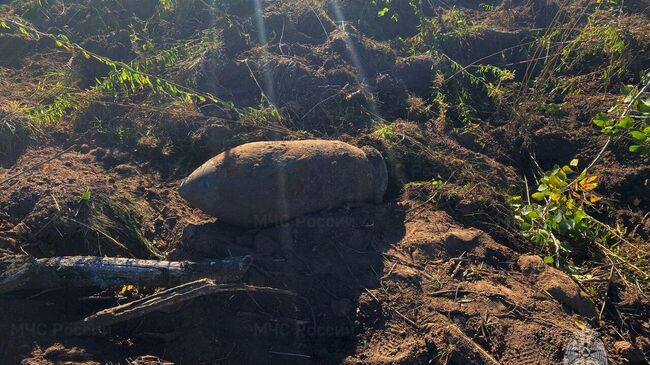 Боеприпас времен Великой Отечественной войны, найденный в Орле