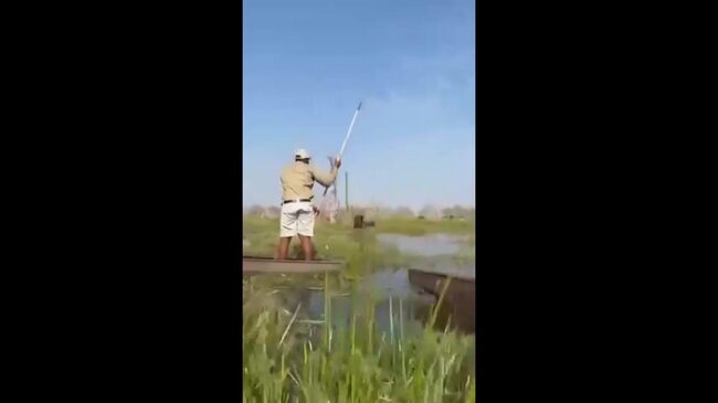 Атака слона на туристов в Ботсване