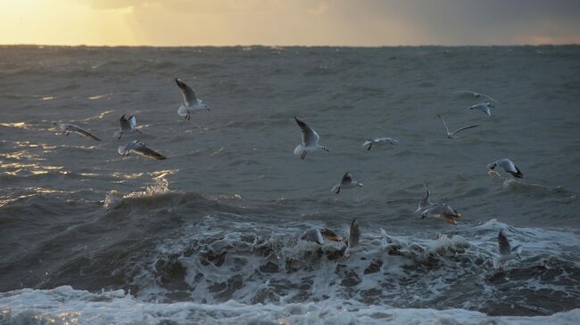 Шторм в парке Ривьера
