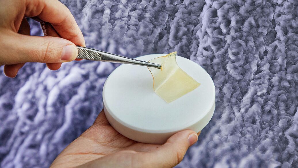 В Нижнем Новгороде создали ранозаживляющие покрытия из рыбы