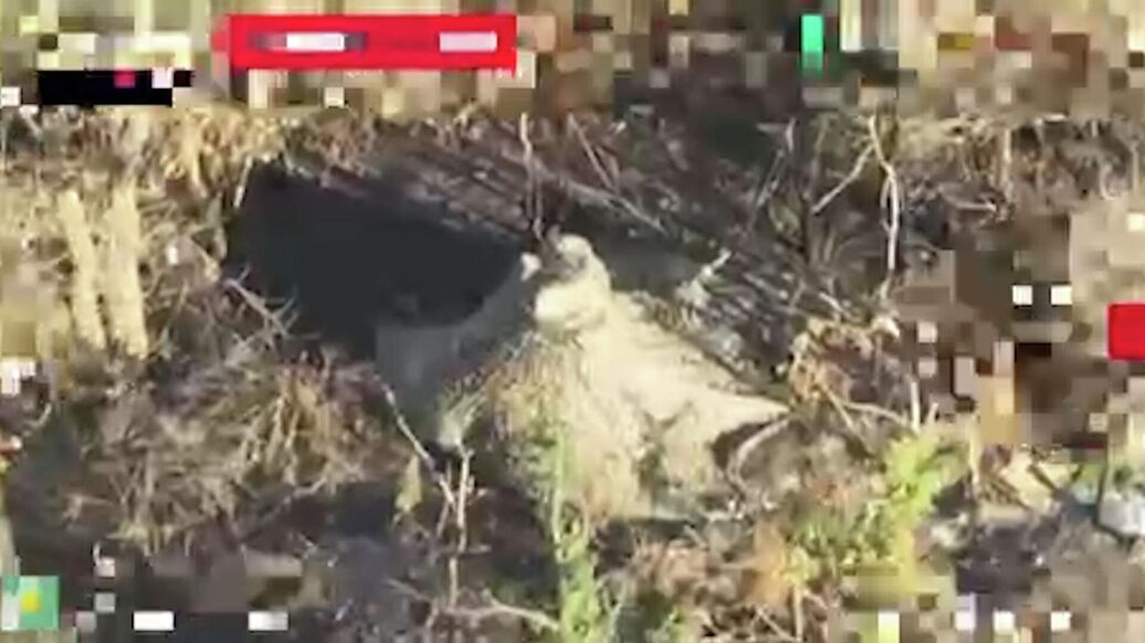 Российские БПЛА уничтожили радиолокационную станцию ВСУ под Херсоном