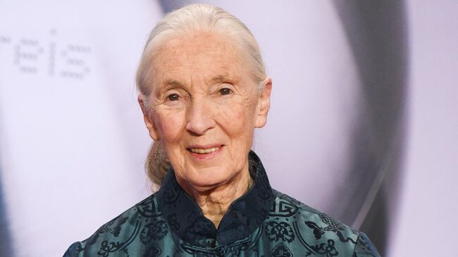 Джейн Гудолл