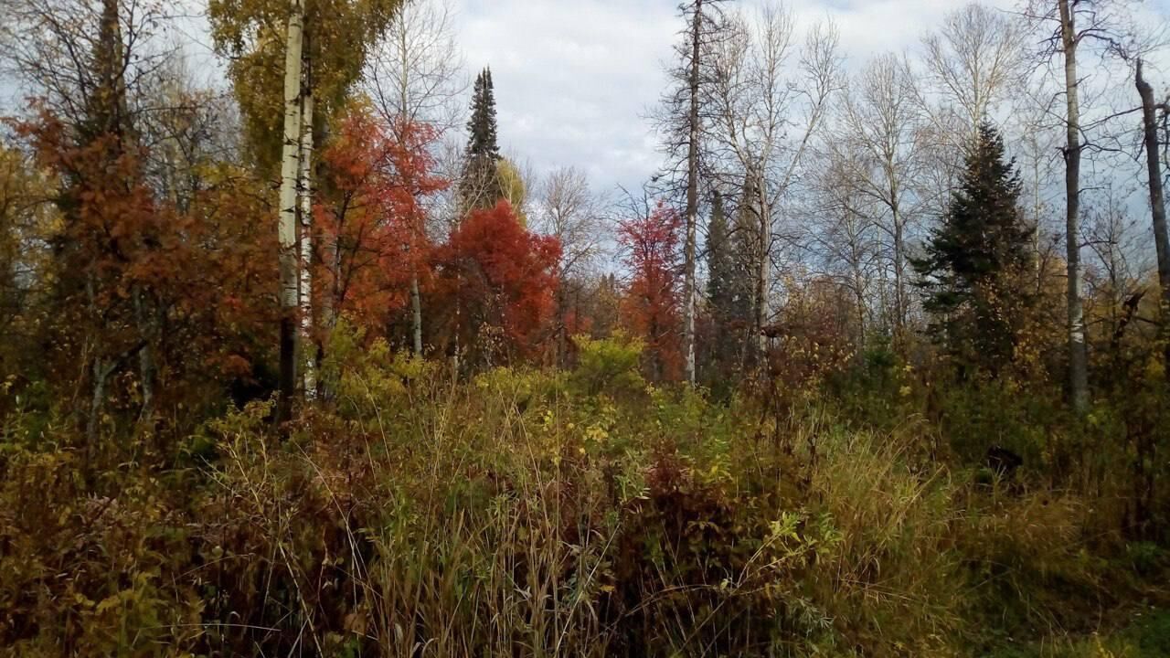 Местность Минская петля в Красноярском крае, где пропала семья во время турпохода - РИА Новости, 1920, 03.10.2025