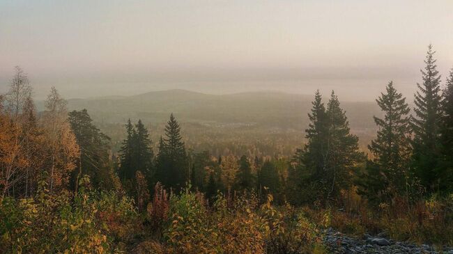 Местность Минская петля в Красноярском крае, где пропала семья во время турпохода