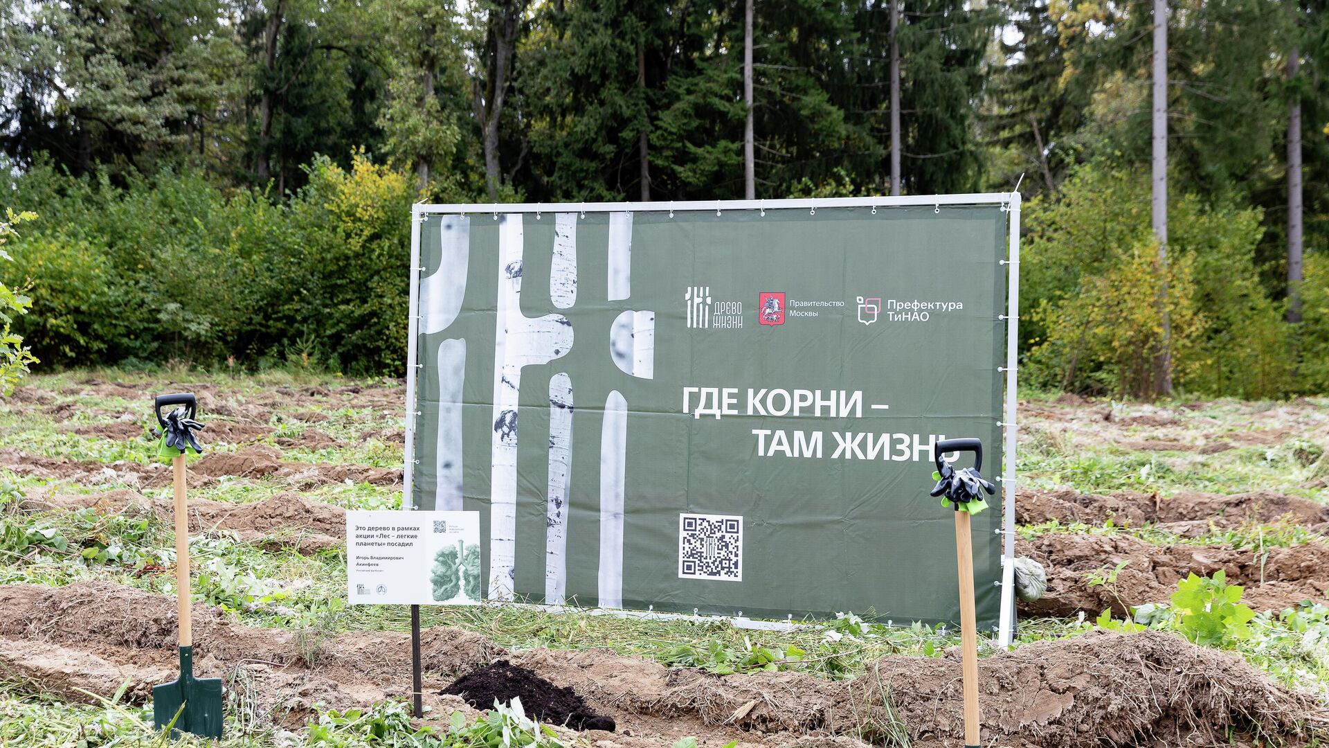 АНО Древо жизни провела акцию по высадке сеянцев сосны и дуба АНО Древо жизни провела акцию по высадке сеянцев сосны и дуба - РИА Новости, 1920, 02.10.2025