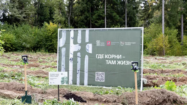 АНО Древо жизни провела акцию по высадке сеянцев сосны и дуба