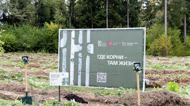 АНО Древо жизни провела акцию по высадке сеянцев сосны и дуба