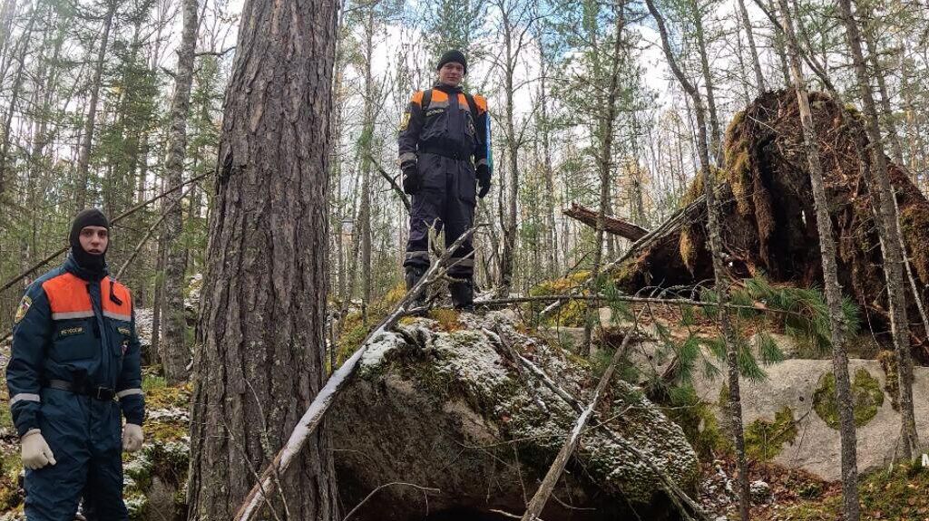 Поиски пропавшей семьи в Партизанском районе - РИА Новости, 1920, 04.10.2025