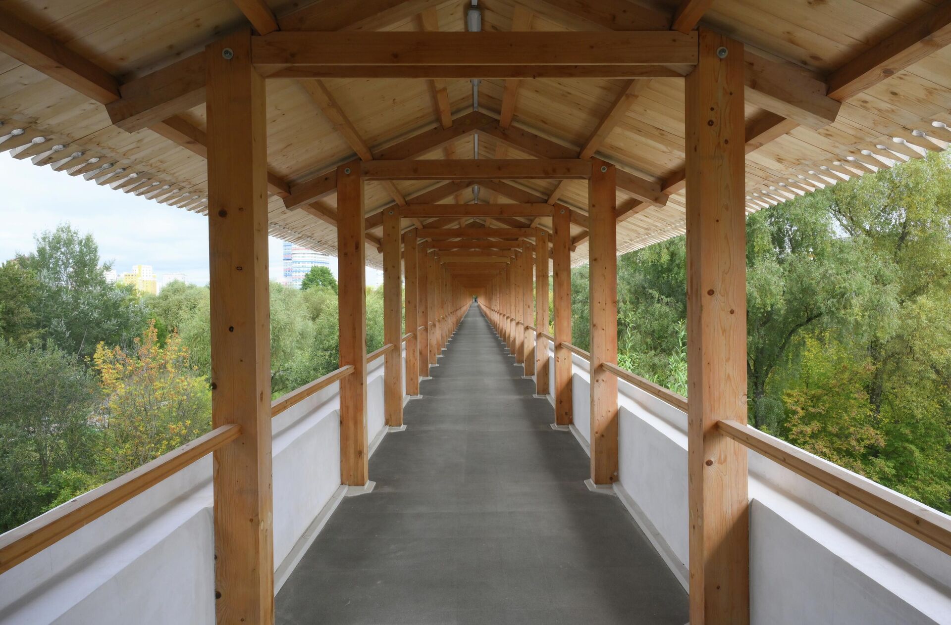 Ростокинский акведук в Москве - РИА Новости, 1920, 03.10.2025