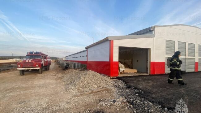 Сотрудеики МЧС на месте пожара на птицефабрике в Чебоксарском округе Чувашии Сотрудеики МЧС на месте пожара на птицефабрике в Чебоксарском округе Чувашии