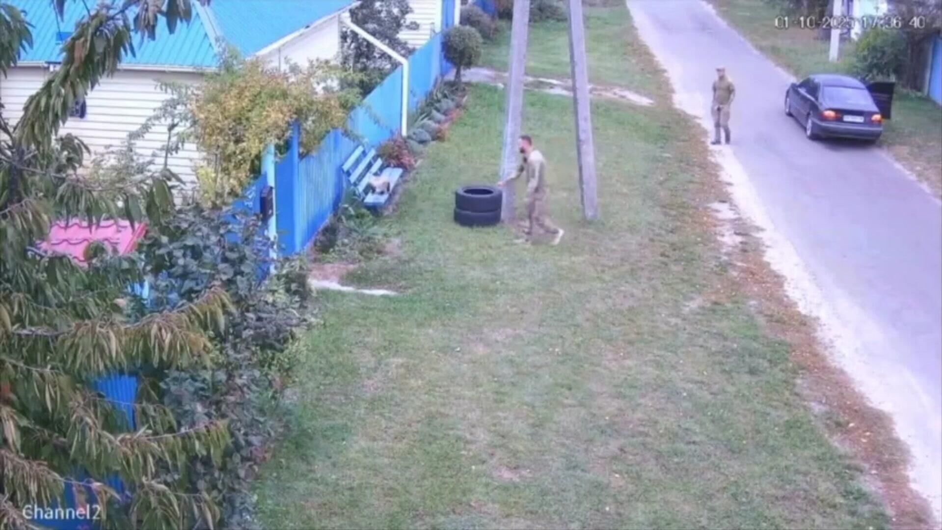 В Киевской области мобилизовали кота - РИА Новости, 1920, 05.10.2025