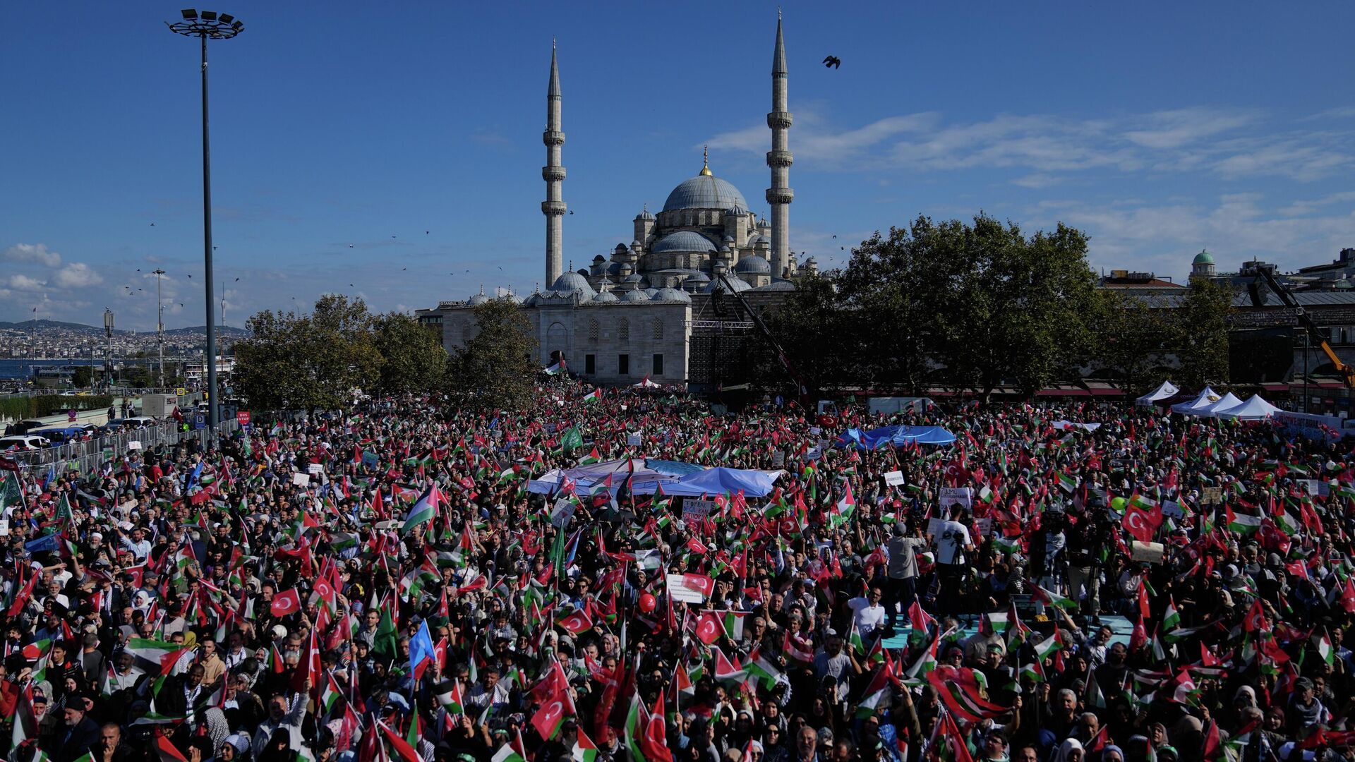 Участники шествия в поддержку Флотилии свободы в Стамбуле, Турция - РИА Новости, 1920, 05.10.2025