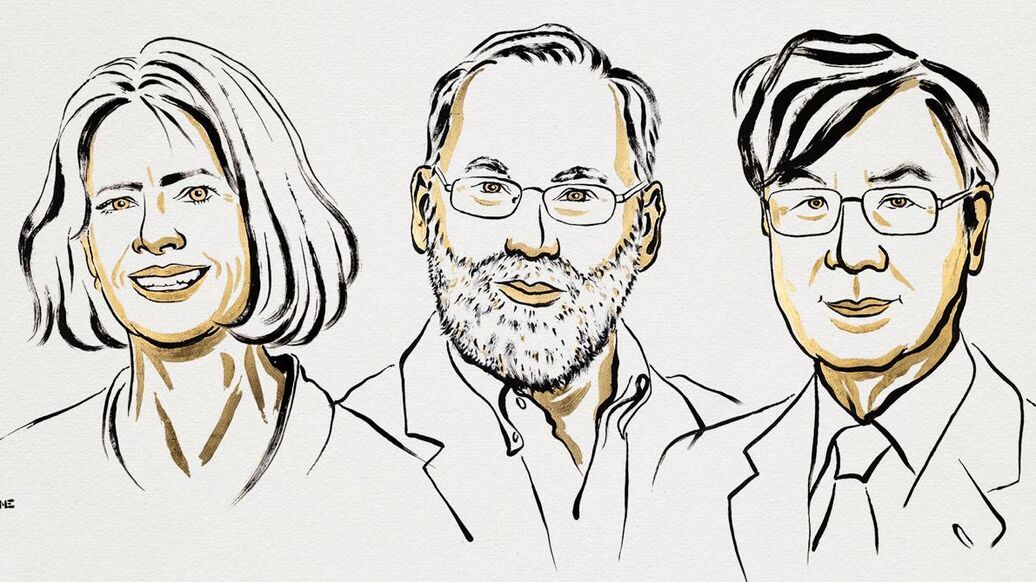 Нобелевскую премию по медицине присудили за исследования иммунитета