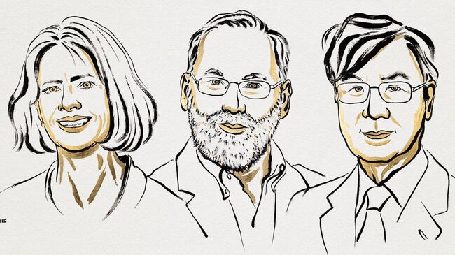 Лауреаты Нобелевской премии по физиологии и медицине присудили Мэри Брунков, Фред Рамсделл и Шимон Сакагучи