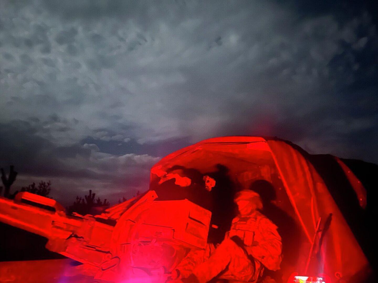 Комар прислушивается к ночному небу