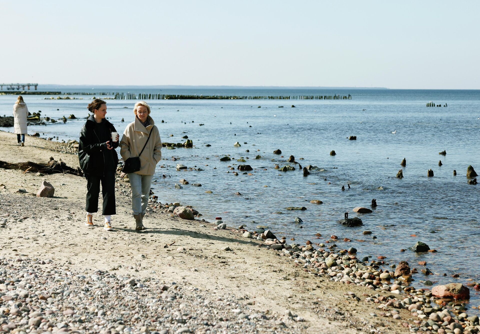 Люди идут по пляжу на побережье Балтийского моря в Калининградской области, откуда видны окаменелые породы реликтовых деревьев - РИА Новости, 1920, 08.10.2025