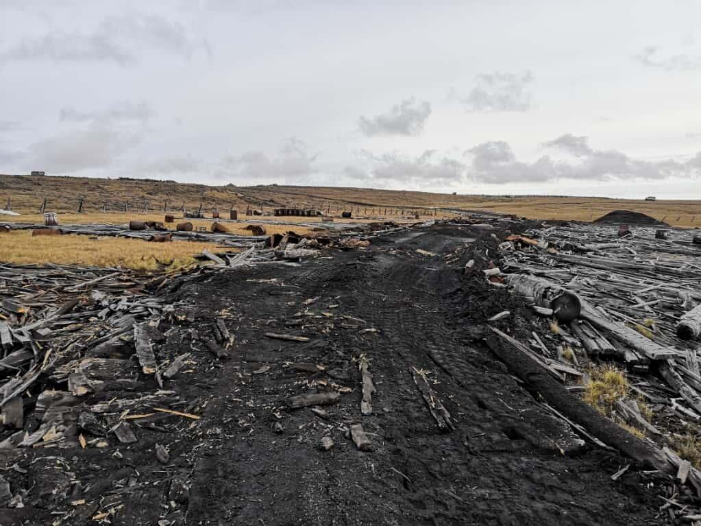 Диксон Диксон - РИА Новости, 1920, 07.10.2025