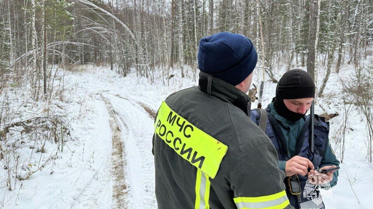Сотрудники МЧС во время поисково-спасательных работ в Красноярском крае Сотрудники МЧС во время поисково-спасательных работ в Красноярском крае - РИА Новости, 1920, 11.10.2025