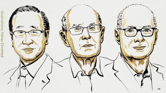 Нобелевская премия 2025 года по химии присуждена Сусуму Китагаве, Ричарду Робсону и Омару Ягхи