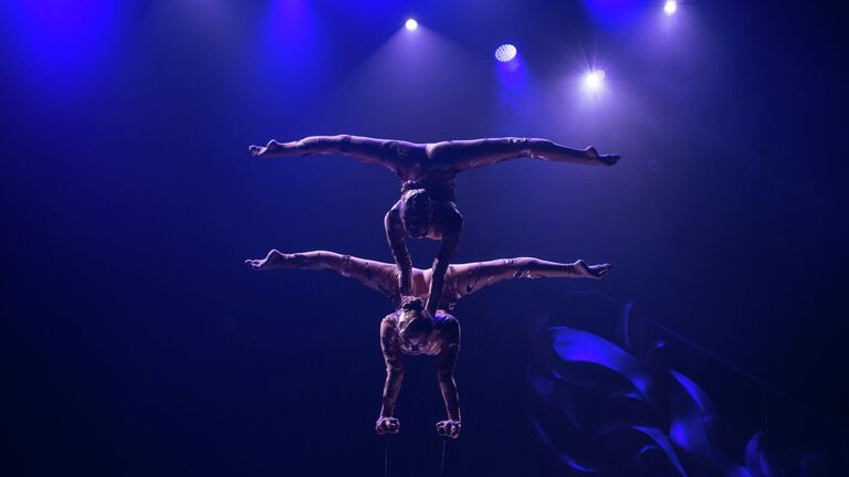 Шоу Изумрудный город