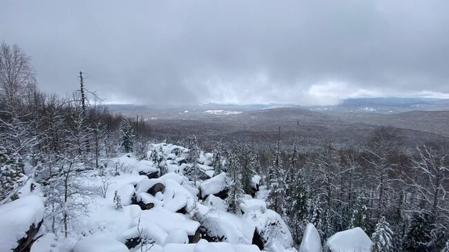 Поисково-спасательные работы после исчезновения семьи с ребенком в Красноярском крае