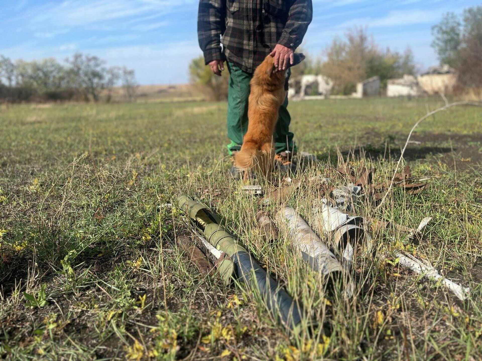Найденные снаряды и собака Юрия Тишка