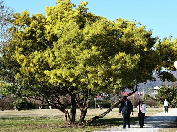 Люди во время прогулки в природном орнитологическом парке в Сириусе