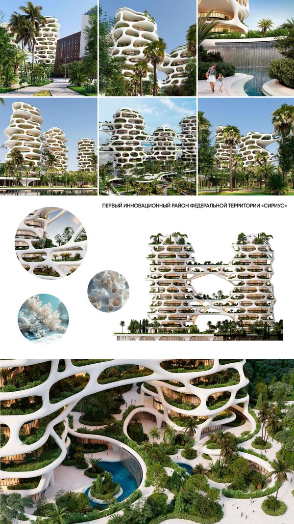 Первый инновационный район федеральной территории Сириус