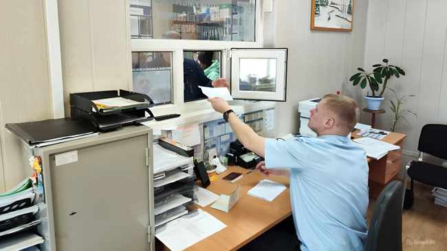 В Госавтоинспекции напомнили о наказании за поддельные иностранные права