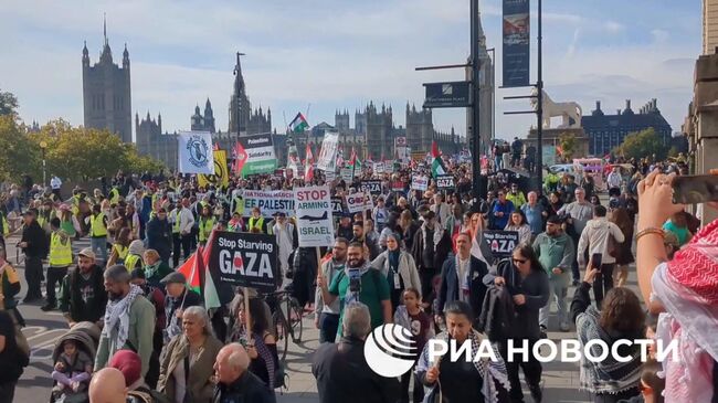 Демонстрация в Лондоне в поддержку Палестины