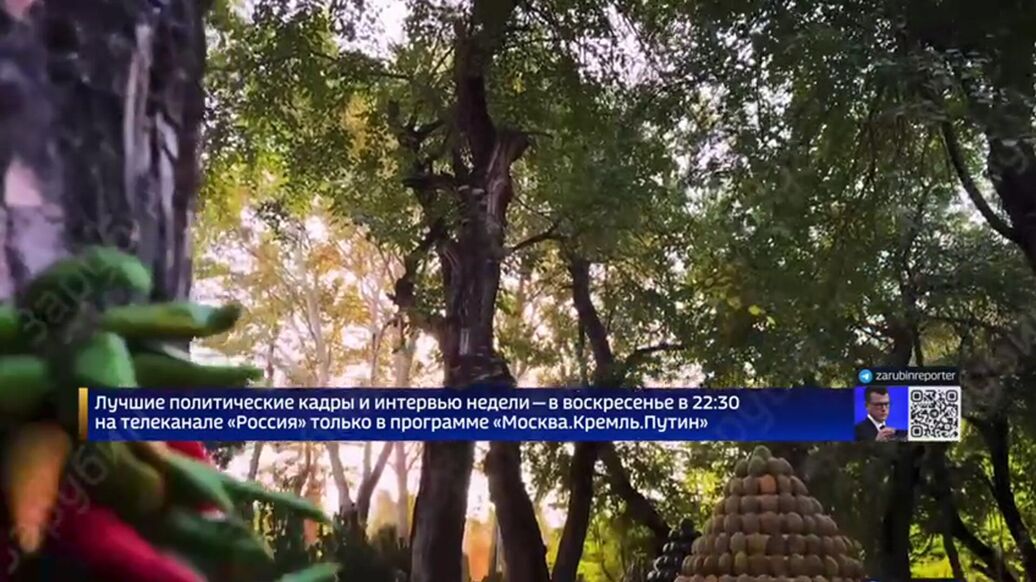 Путин пошутил, что президент Таджикистана морил его голодом