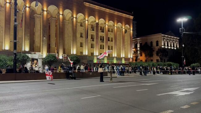 Участники акции протеста в Тбилиси у здания грузинского парламента