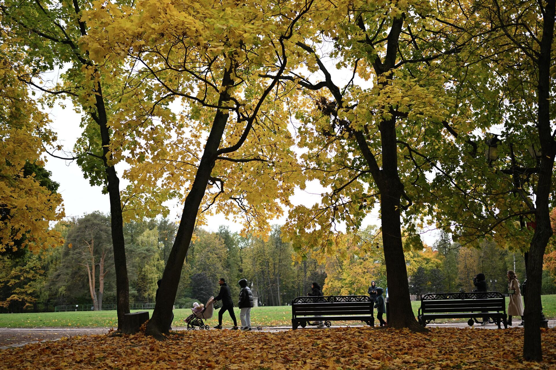Осень в Москве - РИА Новости, 1920, 13.10.2025